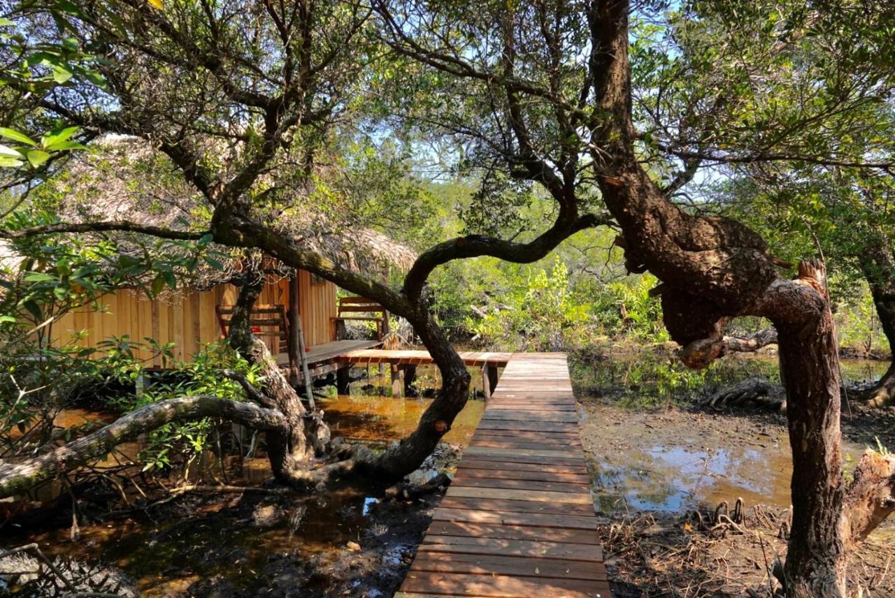 Lily'S Riverhouse Prek Svay Village Eksteriør billede