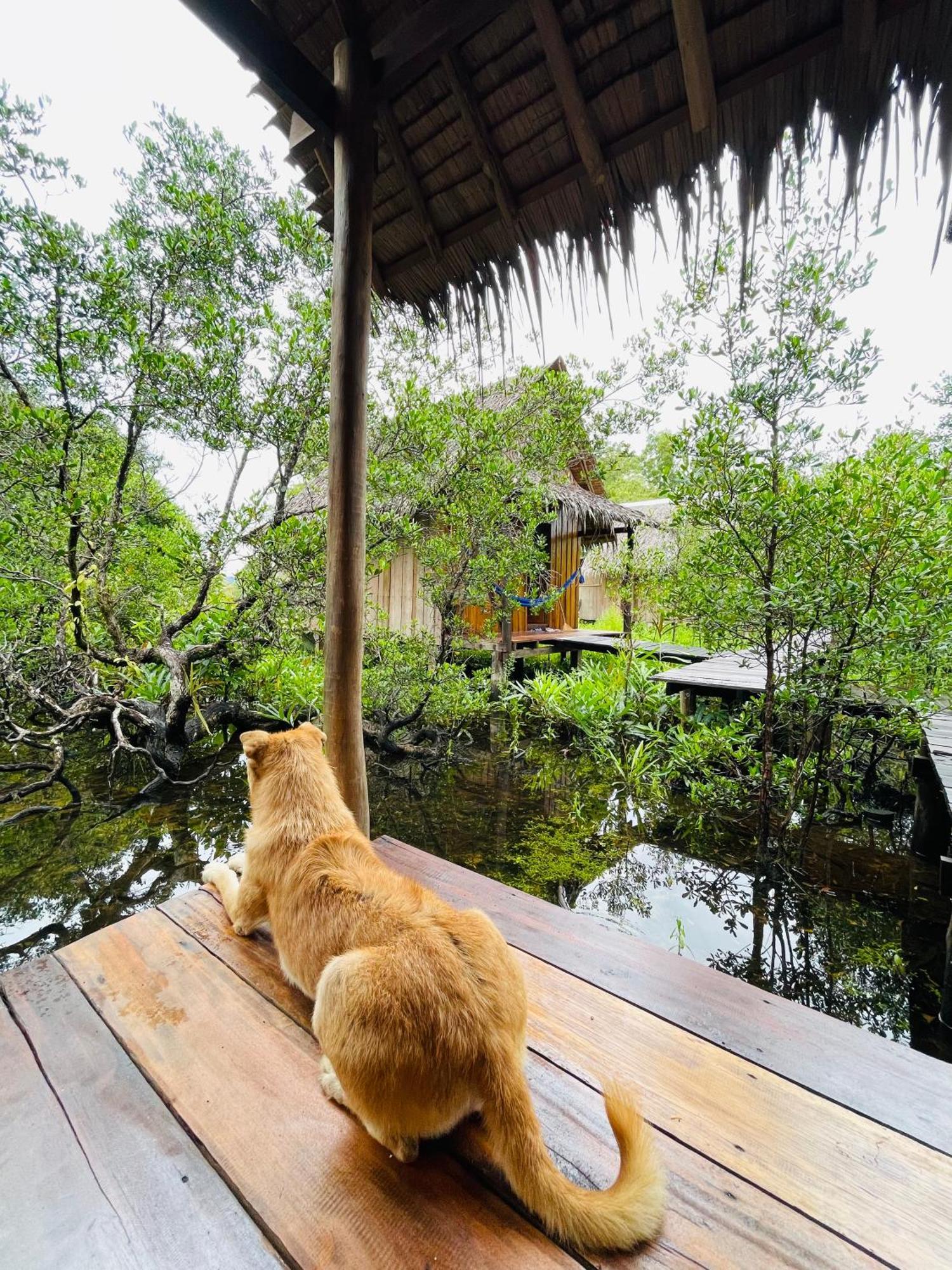 Lily'S Riverhouse Prek Svay Village Eksteriør billede
