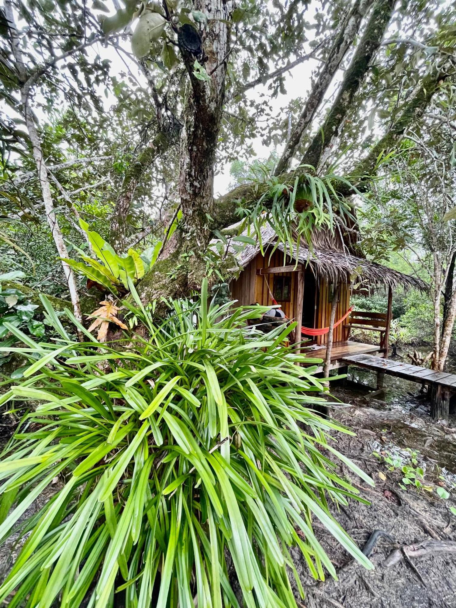 Lily'S Riverhouse Prek Svay Village Eksteriør billede