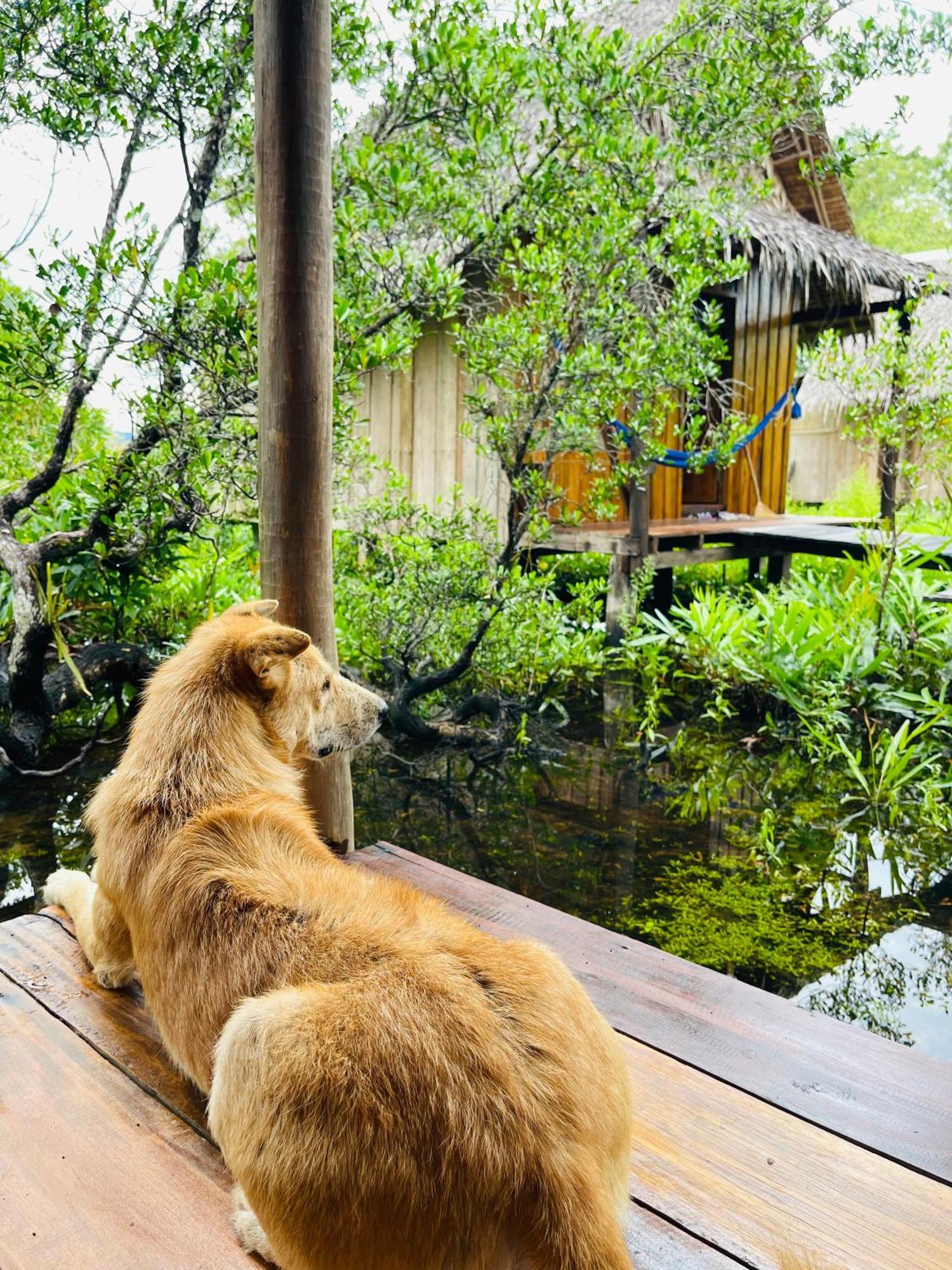 Lily'S Riverhouse Prek Svay Village Eksteriør billede